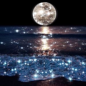 Meet your Posher, Jem